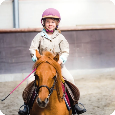 Équitation