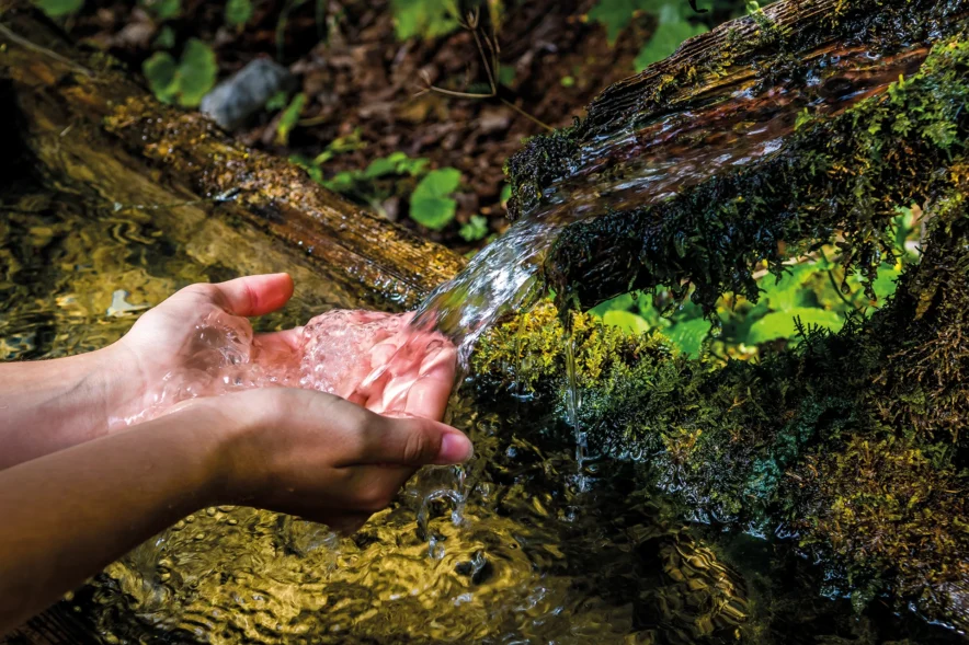 Classe nature en Auvergne, l'eau et le saumon sauvage