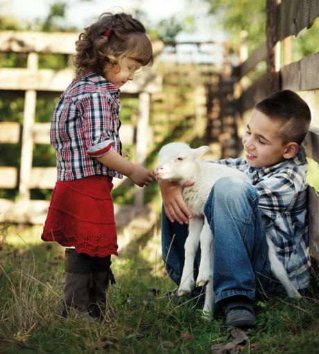 Séjour scolaire avec les animaux en Auvergne Rhône-Alpes